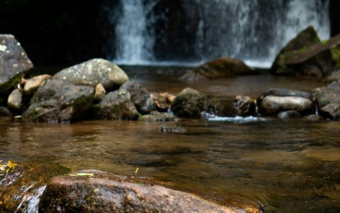 Water 