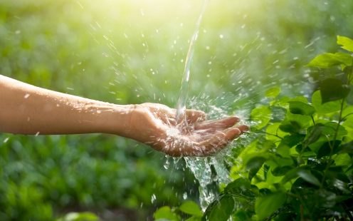 Water pouring in woman hand on nature background, environment issues 