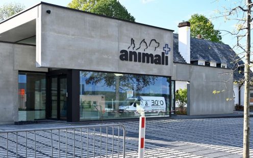 Animali Halle